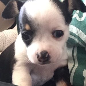 Meet your Posher, Jenny